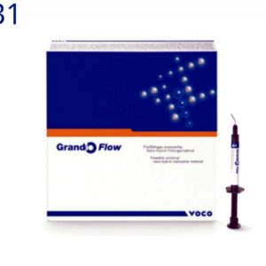 Grandio Flow - syringe 2 x 2 g B1 (1869)
