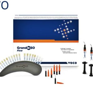 GrandioSO Flow - syringe 2 x 2 g WO (2737)