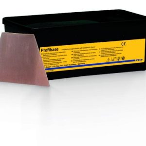 Profibase - maxillae / mandibles 2x25db (2111)