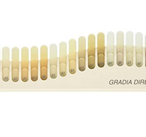 GC GRADIA Direct