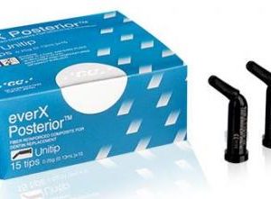 GC everX Posterior