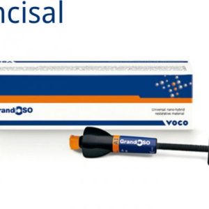GrandioSO - syringe 4 g incisal (2629)