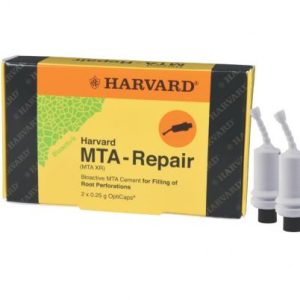 Harvard MTA XR 2x0