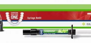 Charisma Bulk Flow ONE Syringe 2g (66094725) AKCIÓ