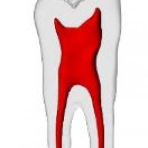 DRSK traning models 2422-101-RWH