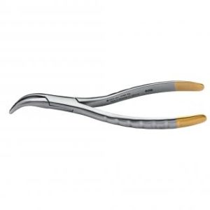 PDT Root Forceps TC (T797)